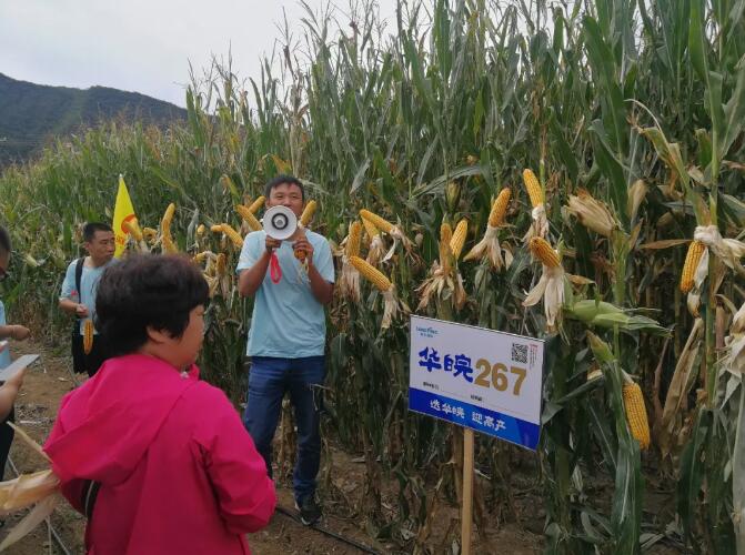 1568798452543320.jpg 22.jpg