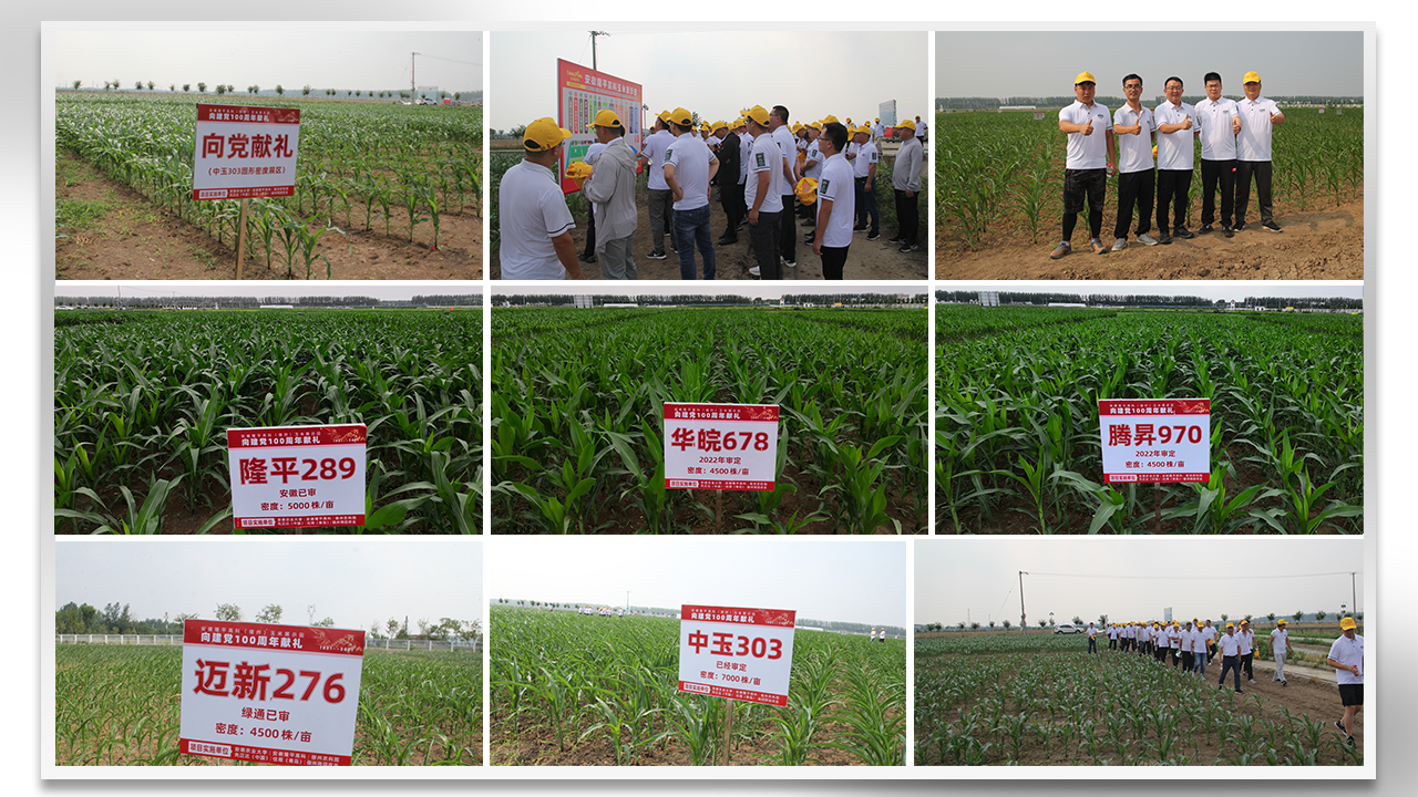 1625539492988814.png 1625539492988814.png