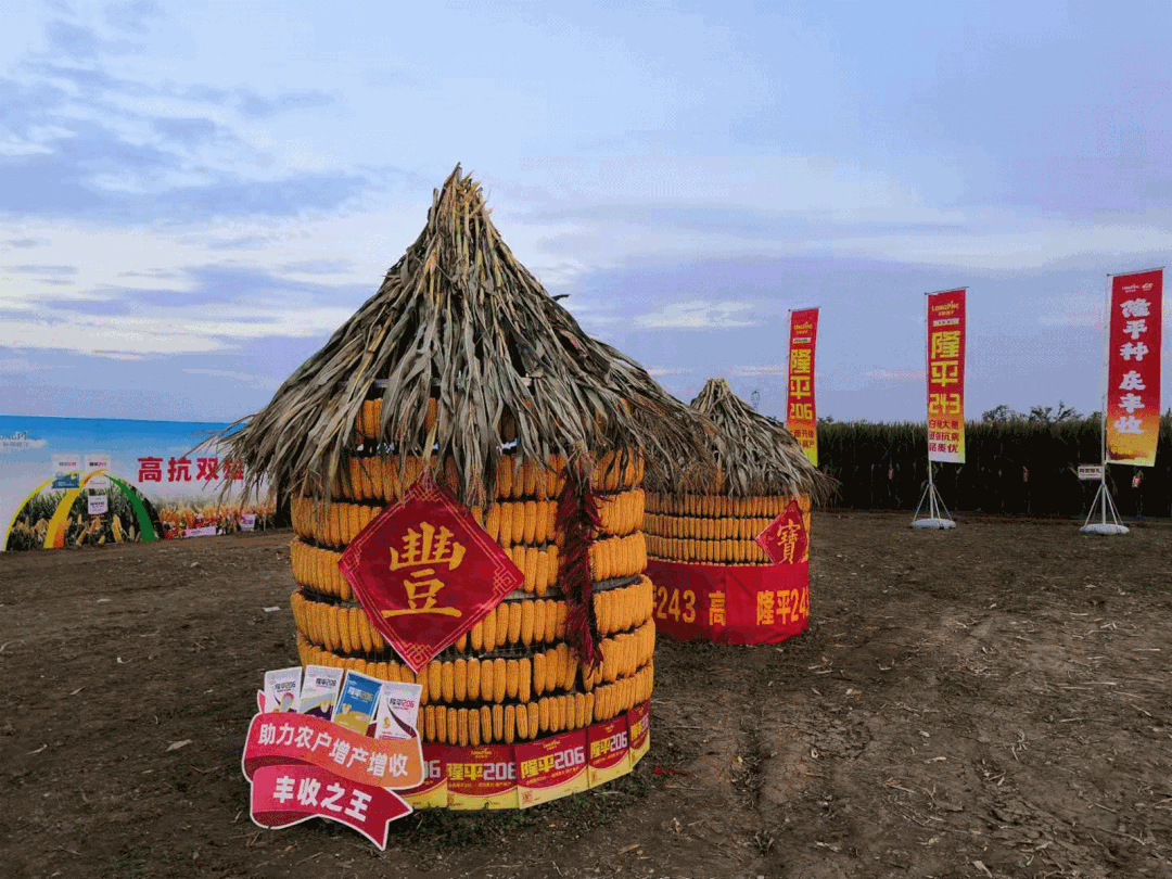 1634202165880503.gif 55.gif