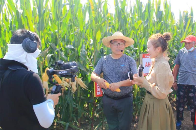 1634202315833309.jpg 99.jpg