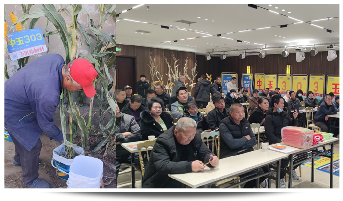 1747640663363691.png 圖片64.png